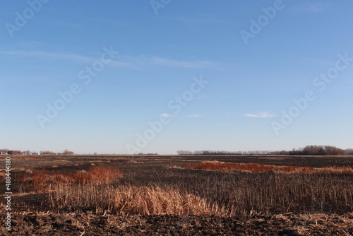 field and sky