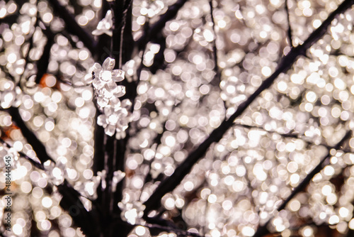 Crystal flowers singled out amongst bokeh lights