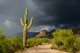 Sonoran desert trail and ominous clouds
