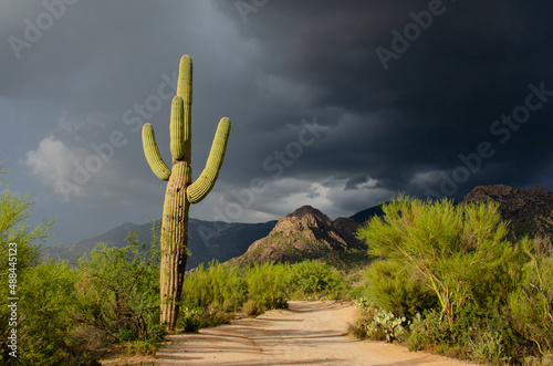 Sonoran desert trail and ominous clouds photo