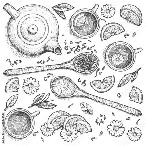 Vector set with teapot, cups, wooden spoon. A collection of hand-drawn objects. Vintage sketches. Top view