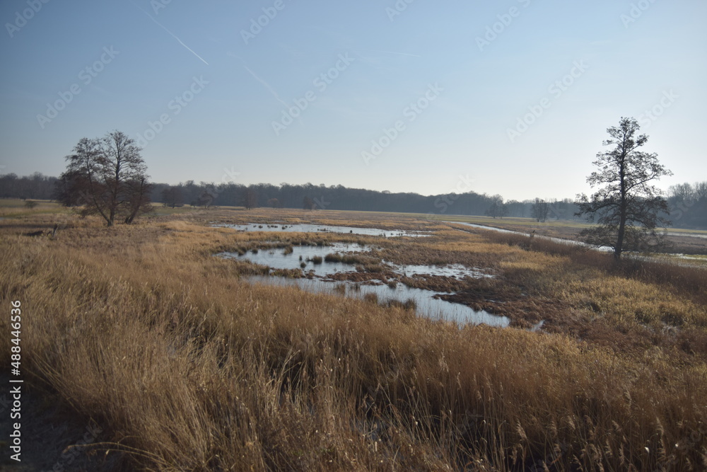 Landschaft