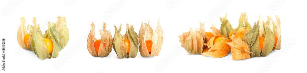 Set with tasty ripe physalis fruits on white background. Banner design Set with tasty ripe physalis fruits on white background. Banner design