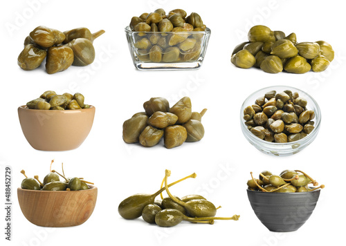 Картината върху платно Set with pickled capers on white background