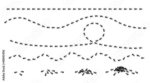 Ants trail set, lines of working ants on white background. Groups of insect marching or walking down the road. Insect colony, control disinfection, vector illustration
