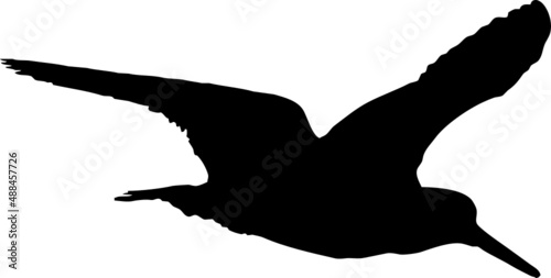 Oiseau en vol "Pie Huitrier" 
Noir sur fond transparent