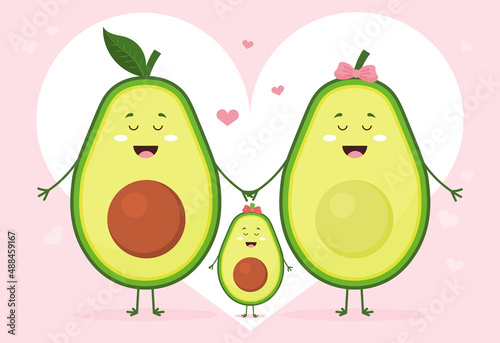 Family of avocado