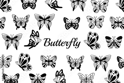Set of Collection pretty Butterfly butterflies Animal Hand Drawn illustration