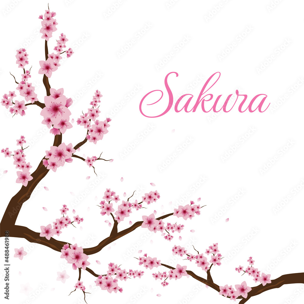 cherry blossoms and twigs background. fallen cherry blossom tree