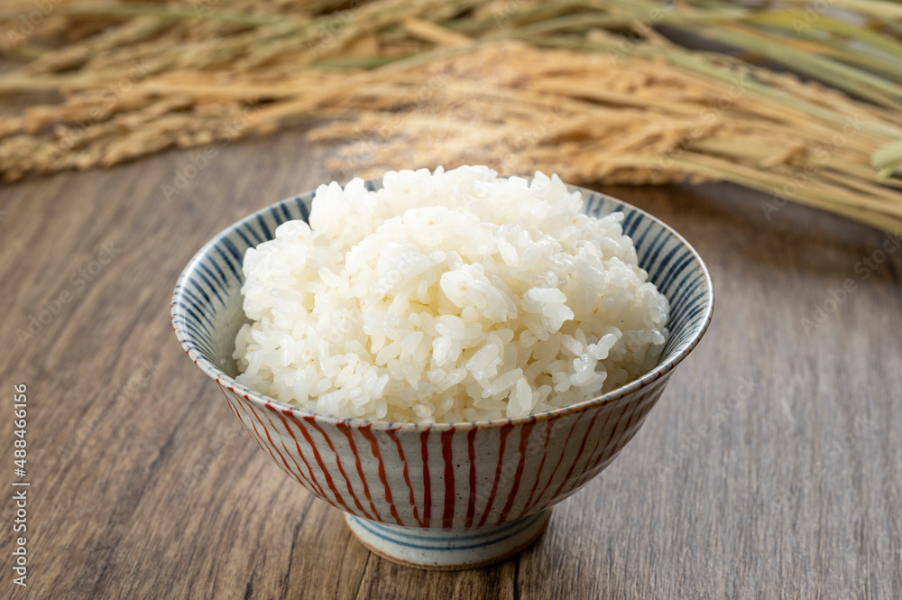 ごはん ごはん