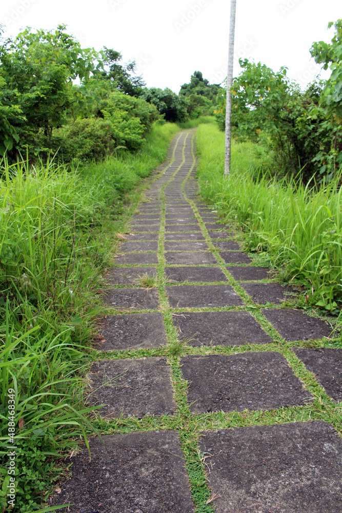 Campuhan Jogging track in Ubud empty due to pandemic. Taken January 2022. Campuhan Jogging track in Ubud empty due to pandemic. Taken January 2022.