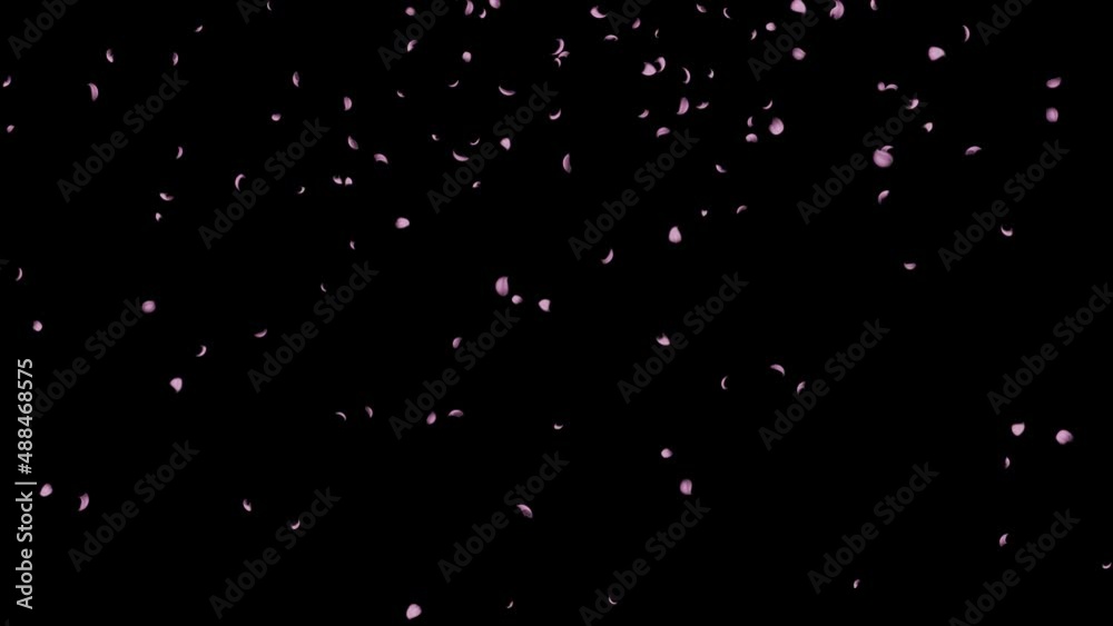 さくらふぶき2022-02 さくらふぶき2022-02