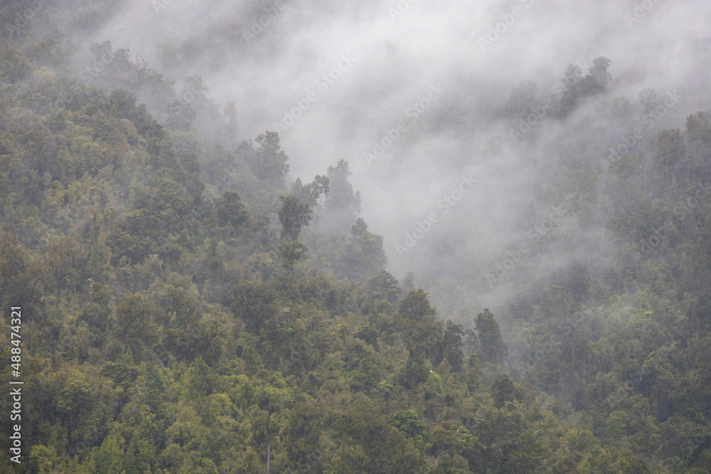 fog in the mountains