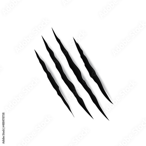 Ripped damaged texture from animal paw, trail from four nails scratches isolated bloody trace. Vector black claws animal scrape track, cat tiger scratches paw shape, Halloween design element