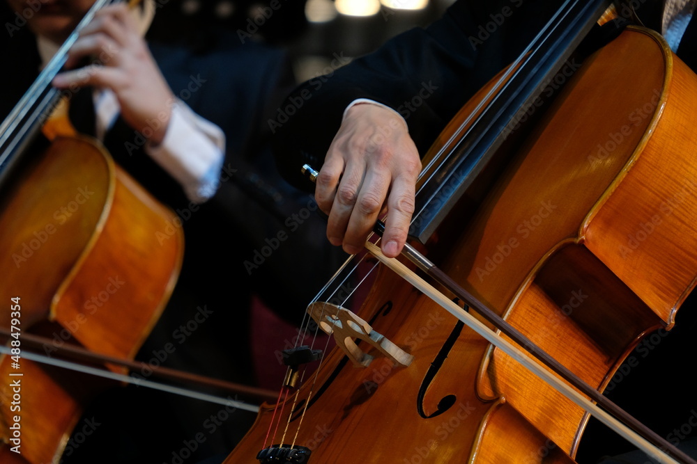 The musician holds a bow and an instrument in his hands. Symphonic music. The musician holds a bow and an instrument in his hands. Symphonic music.