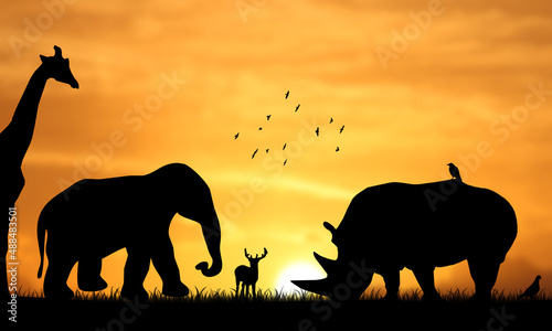 Big African Animals Silhouette on field At Beautiful Sunset Sky. Rhinoceros, Elephant and Giraffe 