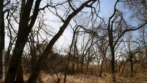 Sunny nature landscape of Stinchcomb Wildlife Refuge photo