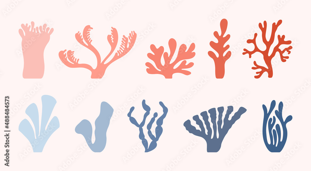 Set of ten abstract sea corals drawn in Henry Matisse style. Set of ten abstract sea corals drawn in Henry Matisse style.