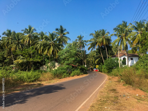 North Goa, India - December 4, 2018 View of the tall green palm trees and the road against the blue sky.