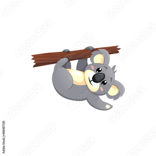 Funny lazy koala cartoon animal playing and greets by paw. Vector cute bear waving paw on eucalyptus branch, sweet cartoon personage. Happy young koala hanging on tree, cheerful wildlife mammal