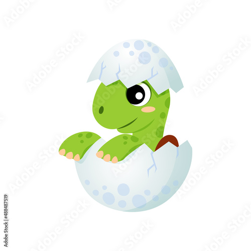Baby turtle hatching egg isolated cartoon smiling funny little tortoise animal. Vector cute friendly aquatic and terrestrial reptilian. Adorable sea or land dwelling turtle toy, aquarium pet