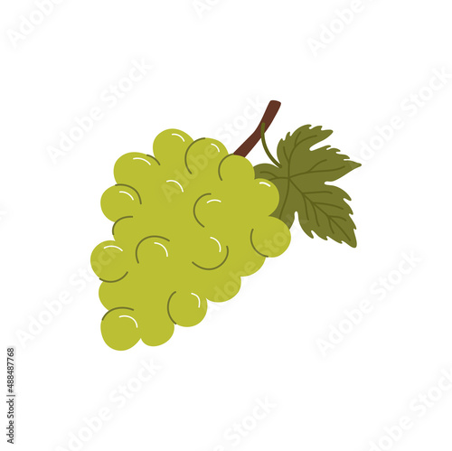 Green grape berries isolated bunch with leaf flat cartoon style icon. Vector wine ingredient, vegetarian food dessert, isabella grape, sweet summer berries, muscat cardinal cluster, fresh grapes