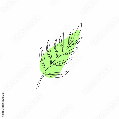 green leaf isolated on white background   one line art   hand drawing