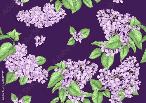 Seamless background with lilac flowers. Vector illustration. Isolated on white background.