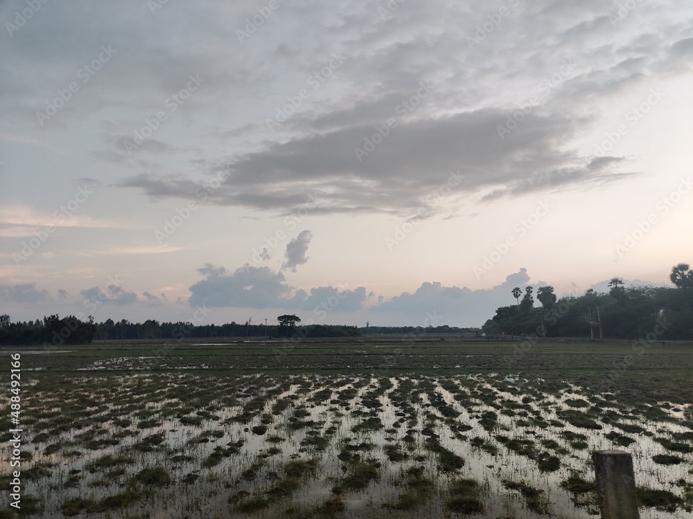 Fototapeta premium farm land