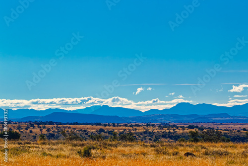 Late afternoon landscape of veld and mountains photo