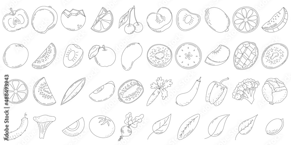 A set of line fruits and vegetables, slices and halves of fruit, leaves and bones. line icons. Vector illustration