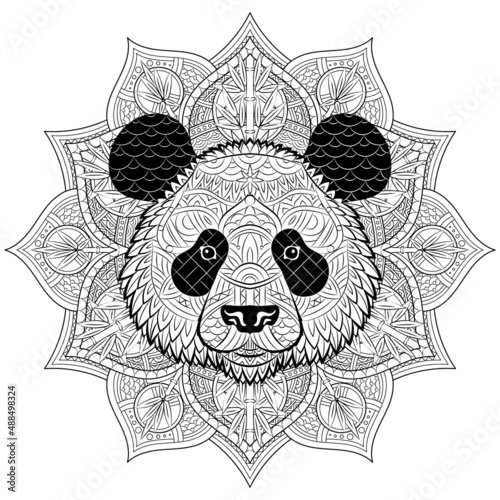 Panda face pattern on ornament background. Portrait of giant panda isolated on white background. Painted ethnic ornament. Chinese style. Tribal ornament painted by hand. Series ethnic animals. Vector