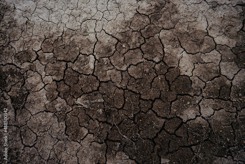 cracked earth texture