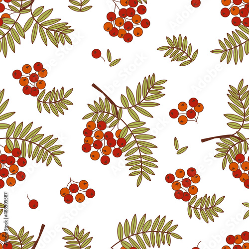 Seamless autumn pattern with branches and rowan berries. Flat vector background