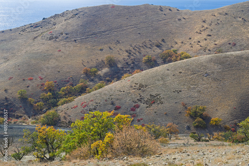 Autumn in the Crimean Mountains photo