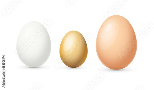 Realistic Detailed 3d Different Color and Sizes Eggs Set. Vector