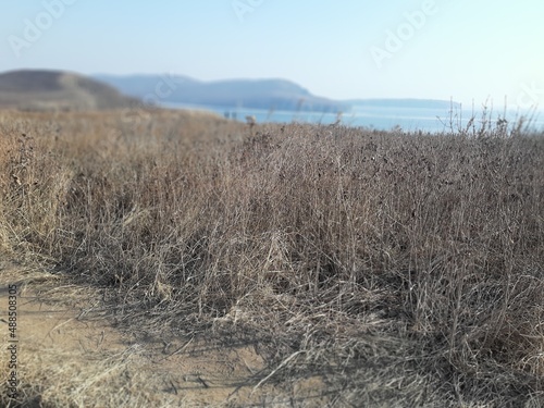 Landscape of Vladivostok Russia
