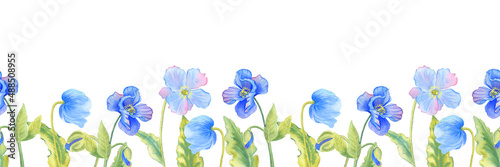 Horizontal seamless border of blue poppies watercolor. Himmalaya flowers endless background for cards and invitations. Wedding design and printing on fabric. Wildflowers backdrop.