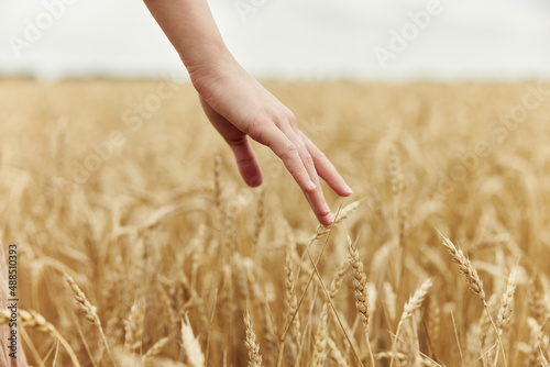 Woman hands countryside industry cultivation sunny day