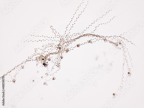 Aerial view of lone fisherman at frozen snow covered lake