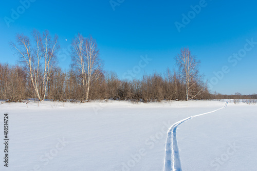 Wallpaper Mural Ski track on a snowy field. Forest in the background Torontodigital.ca
