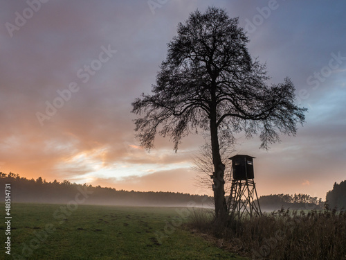 Silhouette of hunting tower standing under single tree at foggy dusk photo