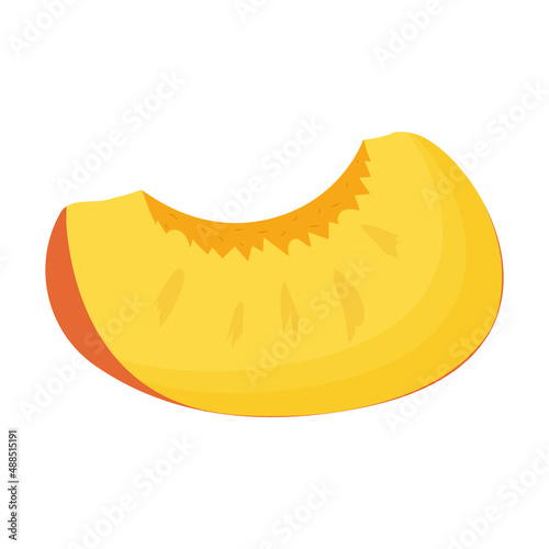 A piece of orange peach isolated on white background. Flat vector illustration