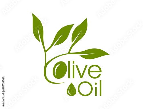 olive oil leaves and olives logo abstract design vector illustration 