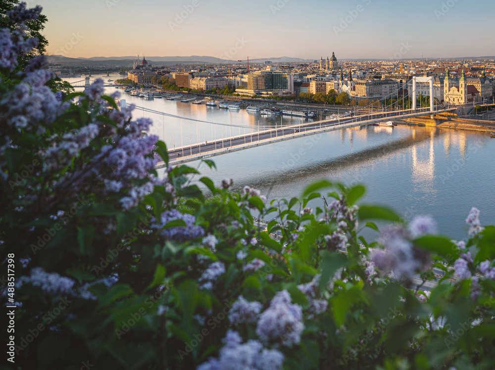 Obraz premium View on Budapest with Elisabeth Bridge in spring