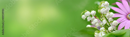 bouquet of freshness flowers with lily of the valley blooming on green backgr...