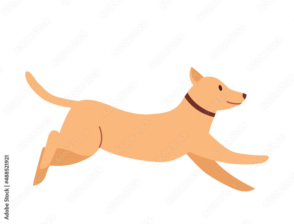 Cute dog running. Vector flat illustration on a white isolated background. Cute dog running. Vector flat illustration on a white isolated background.