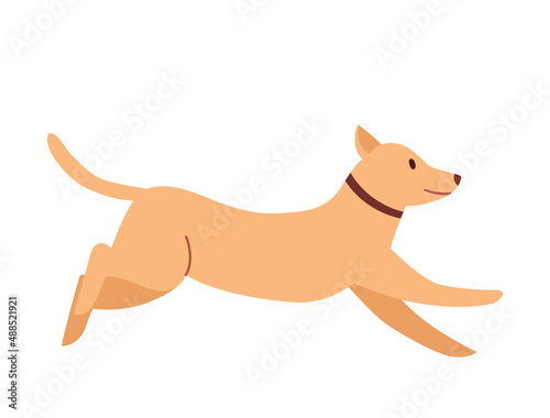 Cute dog running. Vector flat illustration on a white isolated background.