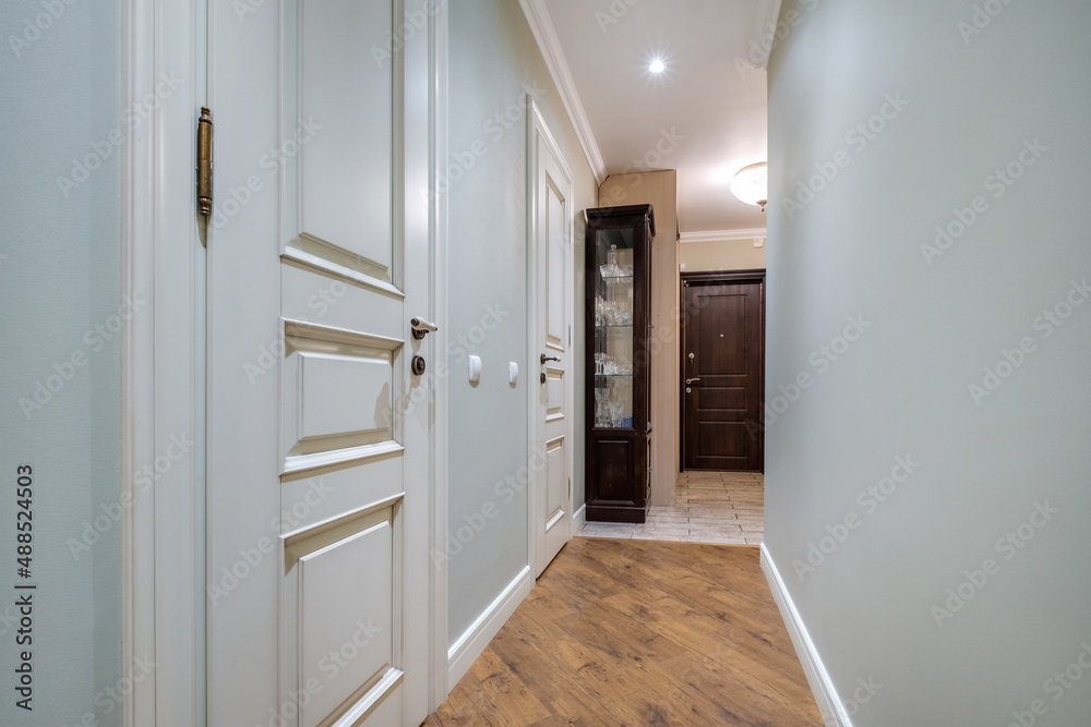 long corridor in interior of entrance hall of modern apartments with doors, cabinets, shelves and a mirror long corridor in interior of entrance hall of modern apartments with doors, cabinets, shelves and a mirror