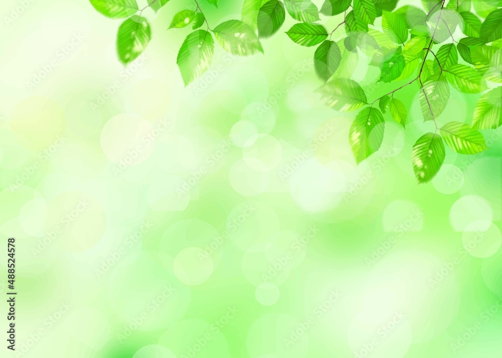 夏の美しい新緑とぼやけた緑のバックグラウンドのイラスト素材
